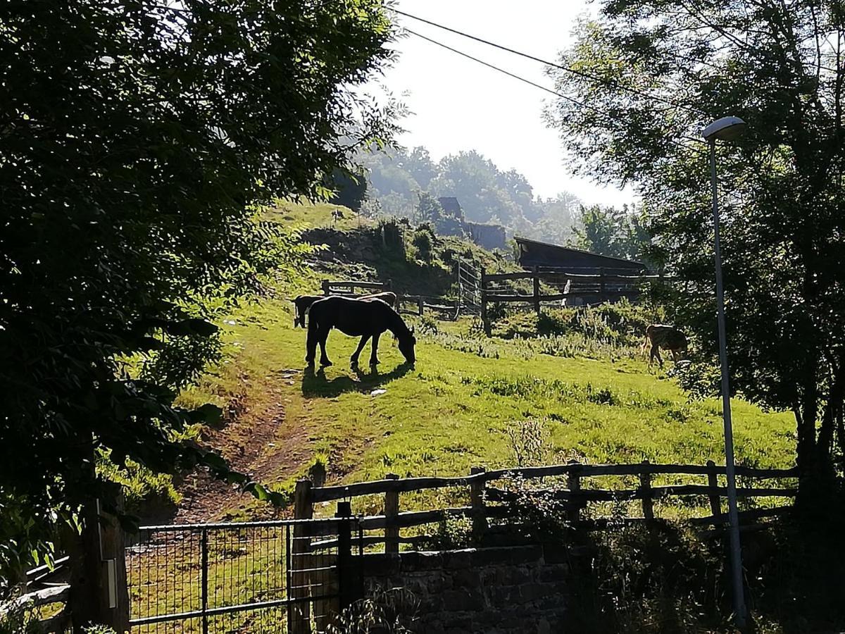 Apartmán El Lagar Aller Exteriér fotografie